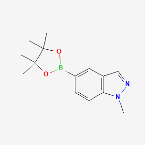 molecular formula C14H19BN2O2 B580511 1-METHYLINDAZOLE-5-BORONIC ACID PINACOL ESTER CAS No. 1235469-00-7