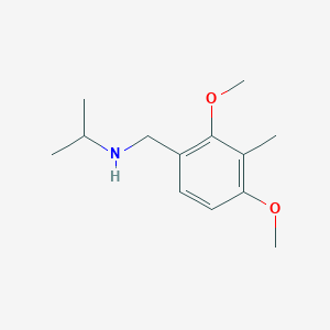 molecular formula C13H21NO2 B5806511 N-[(2,4-dimethoxy-3-methylphenyl)methyl]propan-2-amine 