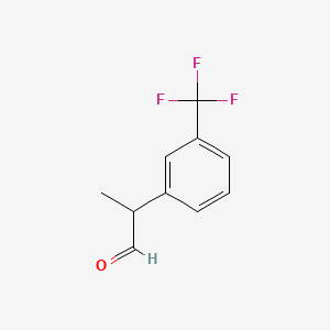 molecular formula C10H9F3O B580683 2-[3-(Trifluoromethyl)phenyl]propanal CAS No. 1034094-54-6