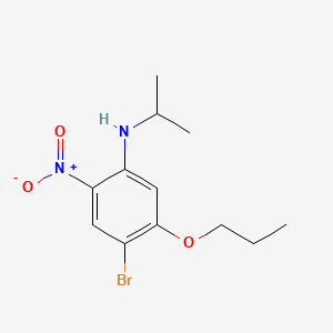 molecular formula C12H17BrN2O3 B580732 4-Bromo-N-isopropyl-2-nitro-5-propoxyaniline CAS No. 1365272-85-0