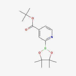 tert-Butyl 2-(4,4,5,5-tetramethyl-1,3,2-dioxaborolan-2-yl)isonicotinate