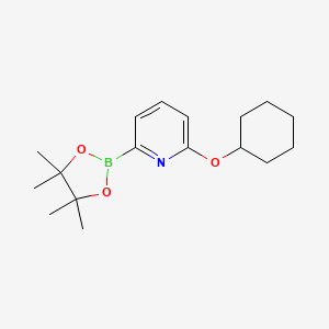 molecular formula C17H26BNO3 B580829 2-(Cyclohexyloxy)-6-(4,4,5,5-tetramethyl-1,3,2-dioxaborolan-2-yl)pyridine CAS No. 1310383-05-1