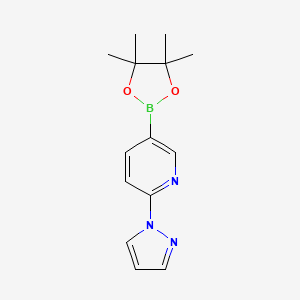 molecular formula C14H18BN3O2 B580838 2-(1H-Pyrazol-1-yl)-5-(4,4,5,5-tetramethyl-1,3,2-dioxaborolan-2-yl)pyridine CAS No. 1218791-02-6