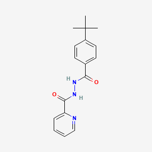 molecular formula C17H19N3O2 B5808460 N'-(4-tert-butylbenzoyl)pyridine-2-carbohydrazide 