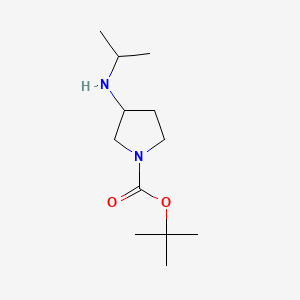 molecular formula C12H24N2O2 B580857 tert-Butyl 3-(isopropylamino)pyrrolidine-1-carboxylate CAS No. 1289385-05-2