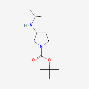 molecular formula C12H24N2O2 B580857 3-Isopropylamino-pyrrolidine-1-carboxylic acid tert-butyl ester CAS No. 1289385-05-2