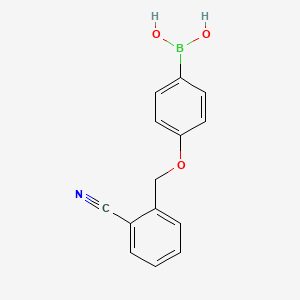 molecular formula C14H12BNO3 B580871 4-(2-Cyanophenylmethoxy)phenylboronic acid CAS No. 1256358-43-6