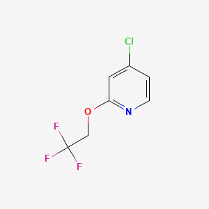 molecular formula C7H5ClF3NO B580889 4-Chloro-2-(2,2,2-trifluoroethoxy)pyridine CAS No. 1346809-11-7