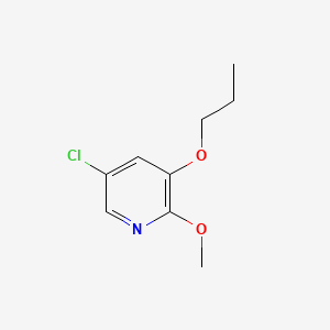 molecular formula C9H12ClNO2 B580961 5-Chloro-2-methoxy-3-propoxypyridine CAS No. 1228957-11-6