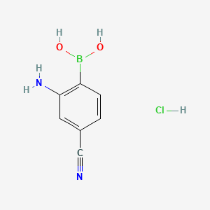molecular formula C7H8BClN2O2 B580966 2-Amino-4-cyanobenzeneboronic acid hydrochloride CAS No. 850568-47-7