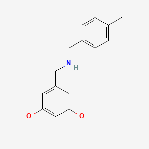 molecular formula C18H23NO2 B5810088 N-[(3,5-dimethoxyphenyl)methyl]-1-(2,4-dimethylphenyl)methanamine 
