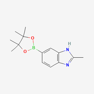 molecular formula C14H19BN2O2 B581026 2-甲基-1H-苯并咪唑-5-硼酸频哪醇酯 CAS No. 1314216-34-6