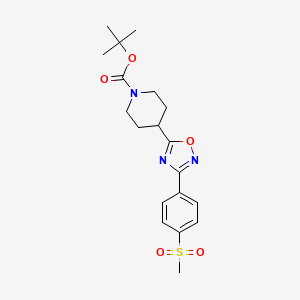 molecular formula C19H25N3O5S B581048 3-[4-(甲磺酰)苯基]-5-(1-Boc-4-哌啶基)-1,2,4-恶二唑 CAS No. 1272756-23-6