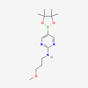 molecular formula C14H24BN3O3 B581051 N-(3-甲氧基丙基)-5-(4,4,5,5-四甲基-1,3,2-二氧杂环戊二烷基)嘧啶-2-胺 CAS No. 1218789-31-1