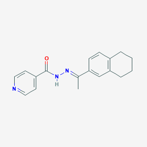molecular formula C18H19N3O B5810613 N-[(E)-1-(5,6,7,8-tetrahydronaphthalen-2-yl)ethylideneamino]pyridine-4-carboxamide 