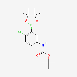 molecular formula C17H25BClNO4 B581253 5-BOC-Amino-2-chlorophenylboronic acid pinacol ester CAS No. 1080573-28-9