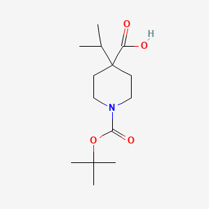 molecular formula C14H25NO4 B581266 1-Boc-4-isopropyl-4-piperidinecarboxylic acid CAS No. 1093396-57-6