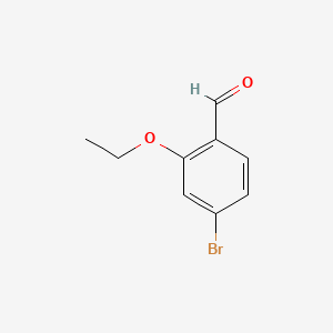 molecular formula C9H9BrO2 B581271 4-Bromo-2-ethoxybenzaldehyde CAS No. 1094546-99-2