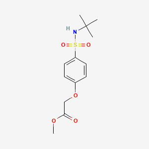 molecular formula C13H19NO5S B5812960 Methyl 2-[4-(tert-butylsulfamoyl)phenoxy]acetate 