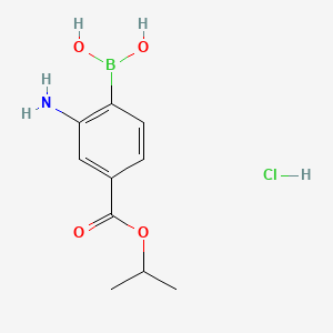 molecular formula C10H15BClNO4 B581320 2-Amino-4-(isopropoxycarbonyl)phenylboronic acid, HCl CAS No. 1150114-64-9
