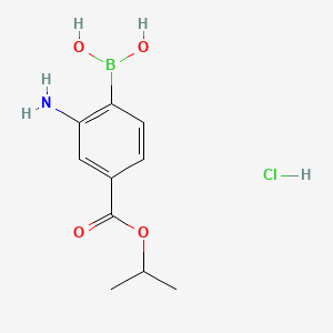 molecular formula C10H15BClNO4 B581320 (2-Amino-4-(isopropoxycarbonyl)phenyl)boronic acid hydrochloride CAS No. 1150114-64-9