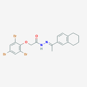 molecular formula C20H19Br3N2O2 B5813205 N'-[(1E)-1-(5,6,7,8-tetrahydronaphthalen-2-yl)ethylidene]-2-(2,4,6-tribromophenoxy)acetohydrazide 