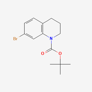 molecular formula C14H18BrNO2 B581395 叔丁基7-溴-3,4-二氢喹啉-1(2H)-羧酸酯 CAS No. 1187932-64-4