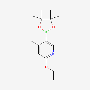 molecular formula C14H22BNO3 B581459 2-Ethoxy-4-methyl-5-(4,4,5,5-tetramethyl-1,3,2-dioxaborolan-2-yl)pyridine CAS No. 1309982-67-9