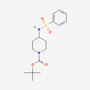 molecular formula C16H24N2O4S B581492 1-BOC-4-benzenesulfonamidopiperidine CAS No. 1233953-03-1