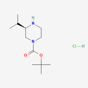 molecular formula C12H25ClN2O2 B581674 (R)-叔丁基 3-异丙基哌嗪-1-甲酸酯盐酸盐 CAS No. 1217444-26-2