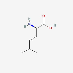 molecular formula C7H15NO2 B581731 (R)-2-氨基-5-甲基己酸 CAS No. 138751-02-7