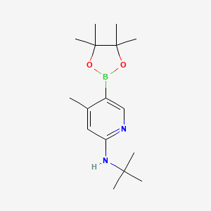 molecular formula C16H27BN2O2 B581858 n-Tert-butyl-4-methyl-5-(4,4,5,5-tetramethyl-1,3,2-dioxaborolan-2-yl)pyridin-2-amine CAS No. 1351380-86-3