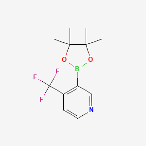 molecular formula C12H15BF3NO2 B581903 3-(4,4,5,5-Tetramethyl-1,3,2-dioxaborolan-2-yl)-4-(trifluoromethyl)pyridine CAS No. 1310405-06-1