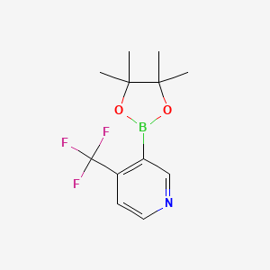 B581903 3-(4,4,5,5-Tetramethyl-1,3,2-dioxaborolan-2-yl)-4-(trifluoromethyl)pyridine CAS No. 1310405-06-1