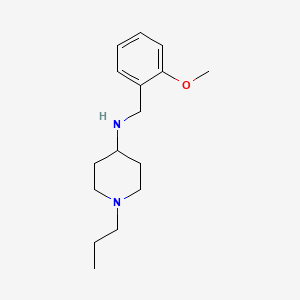 molecular formula C16H26N2O B5819123 N-[(2-methoxyphenyl)methyl]-1-propylpiperidin-4-amine 