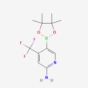 molecular formula C12H16BF3N2O2 B582078 5-(4,4,5,5-四甲基-1,3,2-二氧杂硼环-2-基)-4-(三氟甲基)吡啶-2-胺 CAS No. 944401-57-4