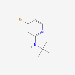 molecular formula C9H13BrN2 B582197 4-Bromo-N-(tert-butyl)pyridin-2-amine CAS No. 1256819-02-9