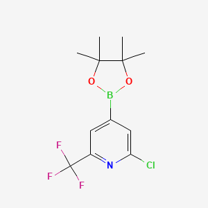 molecular formula C12H14BClF3NO2 B582256 2-Chloro-4-(4,4,5,5-tetramethyl-1,3,2-dioxaborolan-2-yl)-6-(trifluoromethyl)pyridine CAS No. 1218790-05-6
