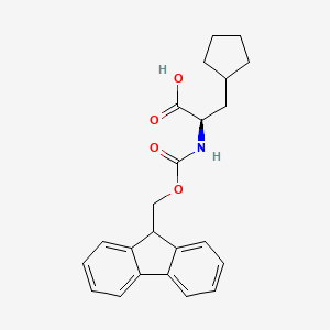 molecular formula C23H25NO4 B582259 (R)-2-((((9H-Fluoren-9-yl)methoxy)carbonyl)amino)-3-cyclopentylpropanoic acid CAS No. 1262802-59-4