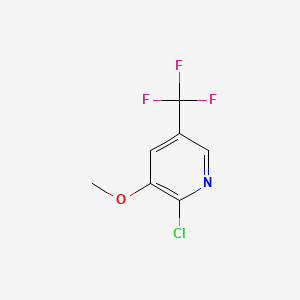 molecular formula C7H5ClF3NO B582265 2-Chloro-3-methoxy-5-(trifluoromethyl)pyridine CAS No. 1227563-67-8