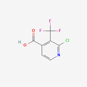 molecular formula C7H3ClF3NO2 B582274 2-氯-3-(三氟甲基)异烟酸 CAS No. 1227587-24-7