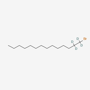 molecular formula C14H29Br B582282 1-Bromo-1,1,2,2-tetradeuteriotetradecane CAS No. 1219798-81-8