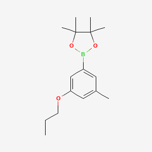 molecular formula C16H25BO3 B582488 4,4,5,5-Tetramethyl-2-(3-methyl-5-propoxyphenyl)-1,3,2-dioxaborolane CAS No. 1218789-73-1
