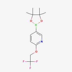 molecular formula C13H17BF3NO3 B582518 5-(4,4,5,5-Tetramethyl-1,3,2-dioxaborolan-2-yl)-2-(2,2,2-trifluoroethoxy)pyridine CAS No. 1268467-17-9