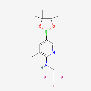 molecular formula C14H20BF3N2O2 B582560 3-Methyl-5-(4,4,5,5-tetramethyl-1,3,2-dioxaborolan-2-yl)-n-(2,2,2-trifluoroethyl)pyridin-2-amine CAS No. 1356363-75-1