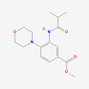 molecular formula C16H22N2O4 B5825611 Methyl 3-(2-methylpropanoylamino)-4-morpholin-4-ylbenzoate 