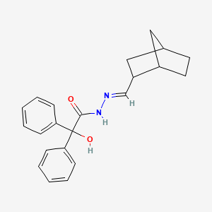 molecular formula C22H24N2O2 B5827044 N'-[(E)-bicyclo[2.2.1]hept-2-ylmethylidene]-2-hydroxy-2,2-diphenylacetohydrazide 