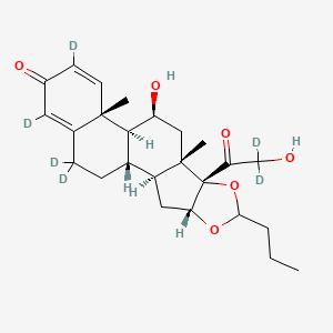 molecular formula C25H34O6 B582707 Budesonide-d6 