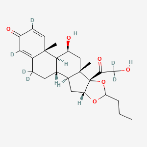 molecular formula C25H34O6 B582707 Budesonide-d6 CAS No. 1134189-63-1