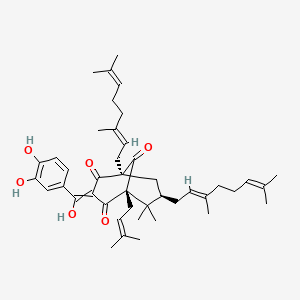 molecular formula C43H58O6 B582838 (1R,5S,7R)-3-[(3,4-dihydroxyphenyl)-hydroxymethylidene]-1,7-bis[(2E)-3,7-dimethylocta-2,6-dienyl]-6,6-dimethyl-5-(3-methylbut-2-enyl)bicyclo[3.3.1]nonane-2,4,9-trione CAS No. 147687-35-2
